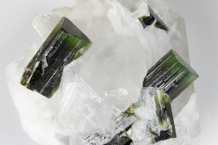 Green Elbaite Tourmaline Crystals in Quartz - Pakistan #175536